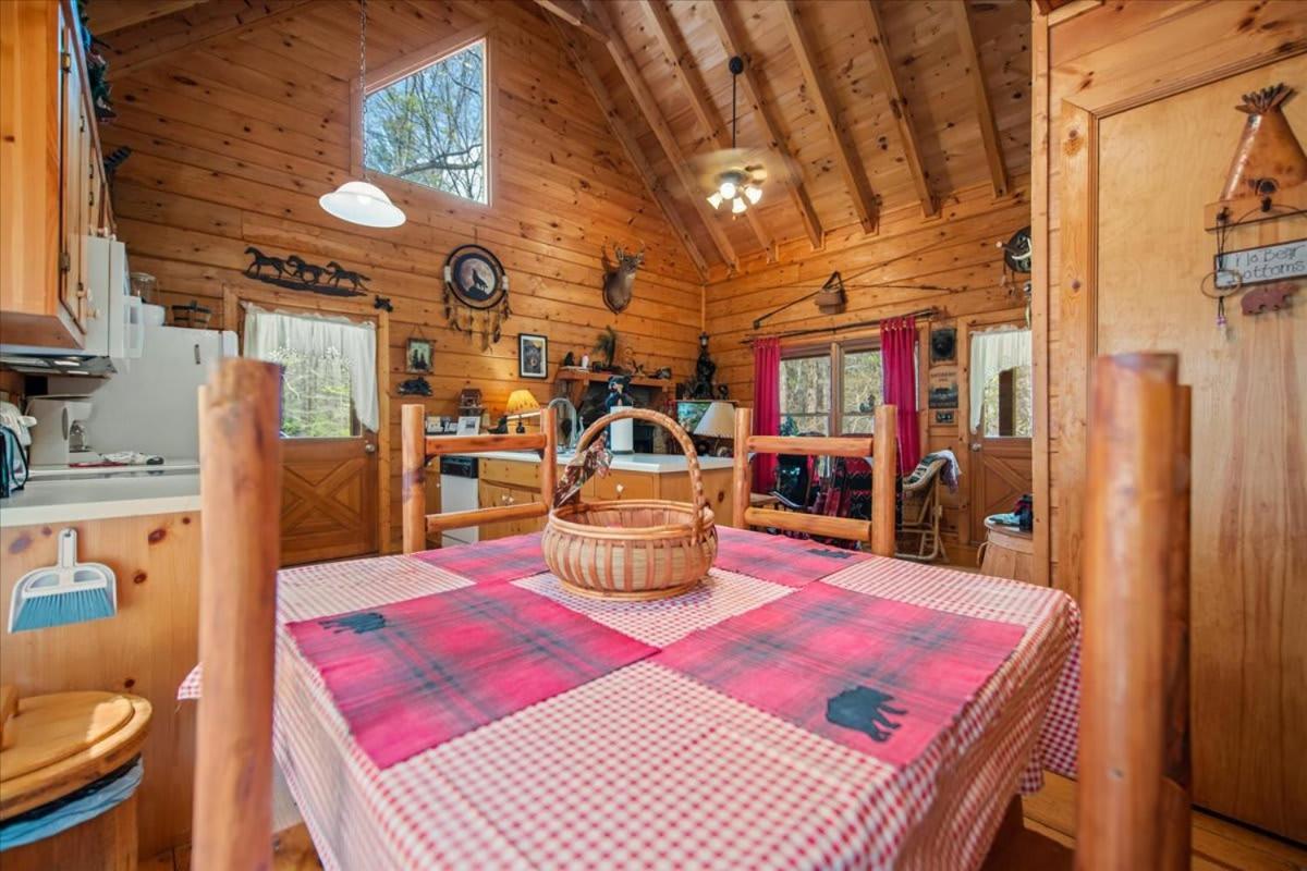 Villa Cozy Cabin Beside Briar Creek, Fire Pit, Wifi à Ellijay Extérieur photo